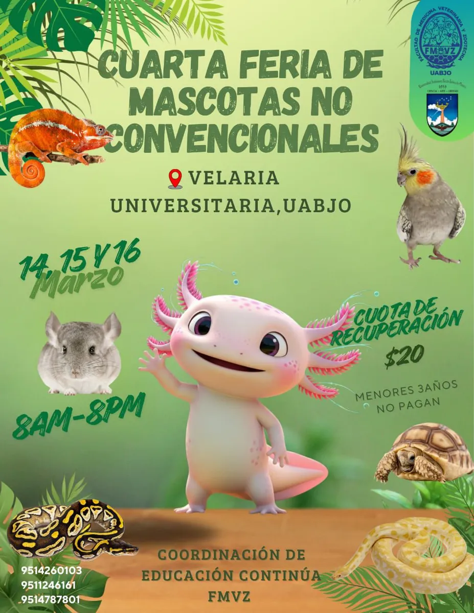 Imagen de IV Feria de Mascotas No Convencionales